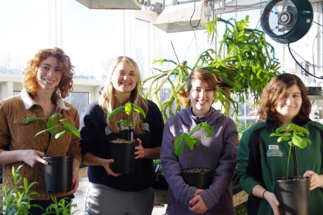 四名学生在温室里捧着盆栽栗树幼苗